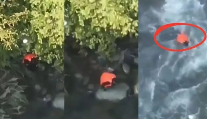 Screenshot_2025-05-05-12-07-38-51_a4f5ffe0bbdc3d5d81712064ead7664e