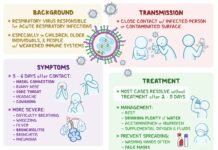2025 में सबसे ज्यादा सर्च किया गया वायरस HMPV, जानिए क्या हैं लक्षण, फैलाव और बचाव के उपाय!