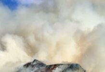 उत्तरकाशी में भीषण अग्निकांड, सिल्ला गांव की छानी में लगी आग से 6 पशुओं की मौत