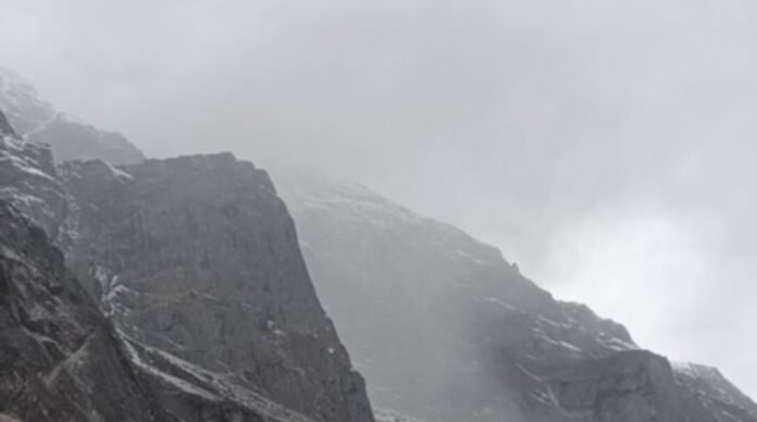 Screenshot_2026-01-23-10-17-51-97_a4f5ffe0bbdc3d5d81712064ead7664e