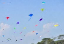 आज मकर संक्रांति पर बन रहे हैं कई शुभ योग, जानें स्नान-दान का शुभ मुहूर्त और पूजा विधि