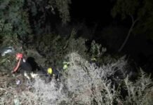 उत्तराखंड : भीषण सड़क हादसा, खाई में गिरी कार, एक व्यक्ति की मौत