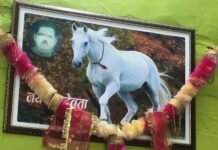 कोटी बनाल में आयोजित दो दिवसीय रथ देवता ठाकुर साहब का दो दिवसीय घड्याला संपन्न, बड़ी संख्या में पहुंचे भक्त