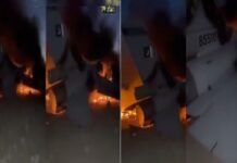 तालिबान का दावा, पाकिस्तानी F-16 फाइटर जेट अफगान बॉर्डर पर गिराया