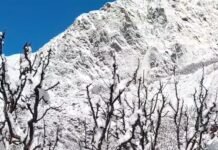 उत्तरकाशी : बर्फ से ढकी चोटियां चमकीं, सेब के बागवानों के लिए बड़ी राहत