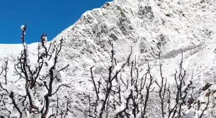 Screenshot_2026-03-21-18-07-13-85_7352322957d4404136654ef4adb64504