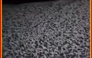 Screenshot 20260405 114007