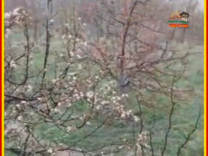 Screenshot_20260405_114026