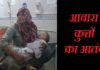 उत्तरकाशी में आवारा कुत्तों का आतंक, एक दिन में 16 लोगों पर हमला