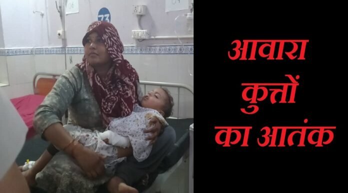 awara kutton ka atank