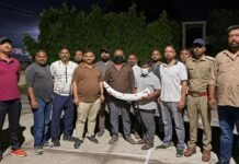 सितारगंज में STF की बड़ी कार्रवाई, 1.5 करोड़ रुपये के हाथी दांत समेत दो वन्यजीव तस्कर गिरफ्तार