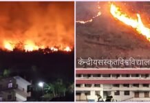 उत्तराखंड : जंगल की भीषण आग से दहशत, इस यूनिवर्सिटी के परिसर तक पहुंचीं लपटें