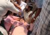 अभिषेक के बाद सांसद कल्याण बनर्जी पर भी हमला, सिर में चोट, BJP पर लगाए गंभीर आरोप