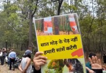 देहरादून–ऋषिकेश फोर/सिक्स लेन परियोजना में फिलहाल नहीं कटेंगे पेड़, मुख्यमंत्री ने रोकी कार्रवाई