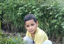 पांच साल की उम्र से पर्यावरण संरक्षण की मुहिम में जुटा गोलू, सोशल मीडिया पर लाखों लोगों के लिए बना प्रेरणा