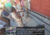 MDDA का बड़ा एक्शन: पांच परिसरों पर जड़ा ताला, अवैध निर्माणों पर कसा शिकंजा
