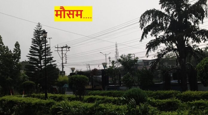weather